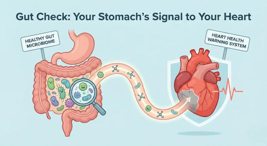 🦠 Gut Check: Could Your Stomach Be Warning You About Your Heart?